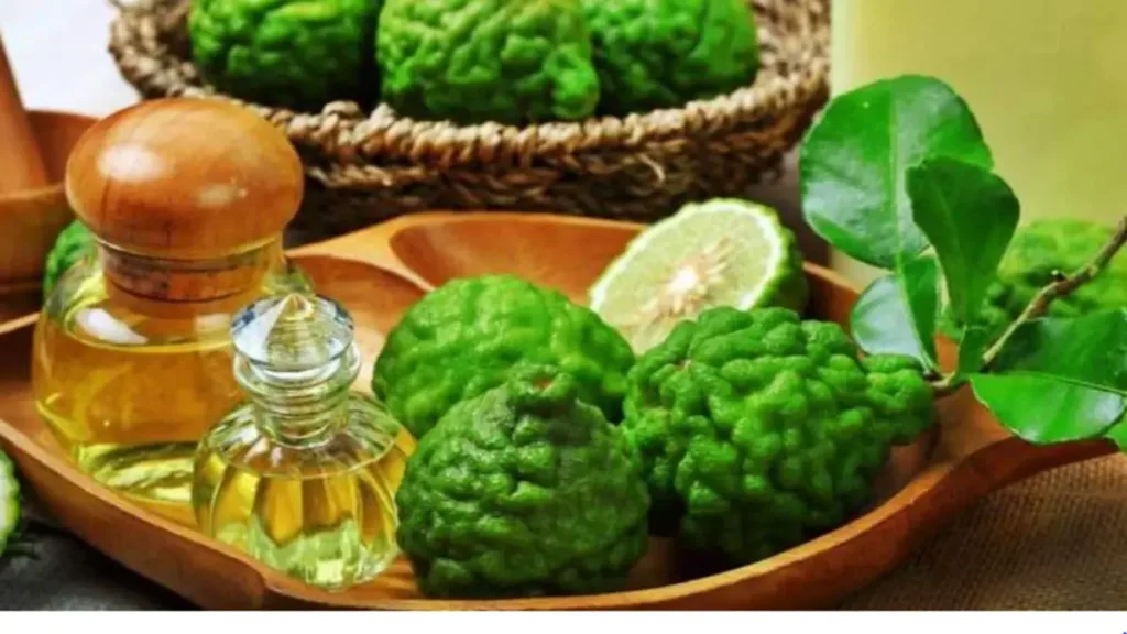 Bergamot yağı nasıl kokar?
