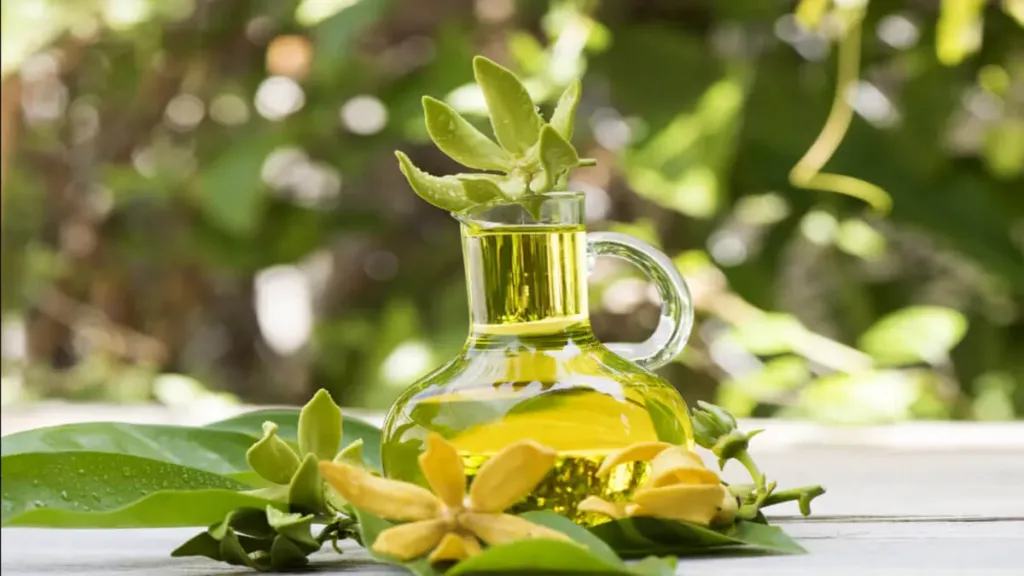 Ylang ylang yağı Cinsellikte nasıl kullanılır?