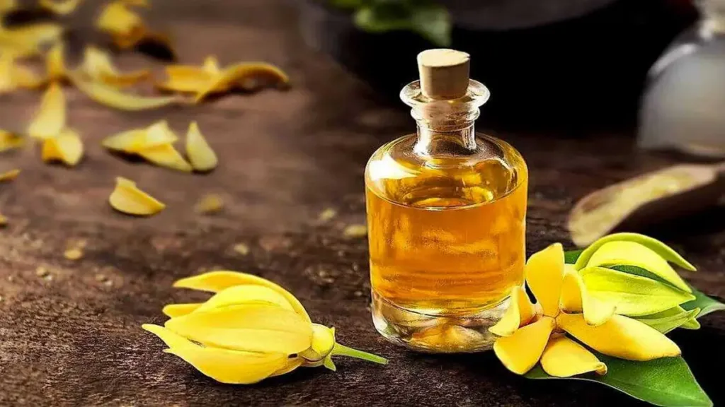 Ylang ylang yağı dişil enerji nasıl kullanılır?
